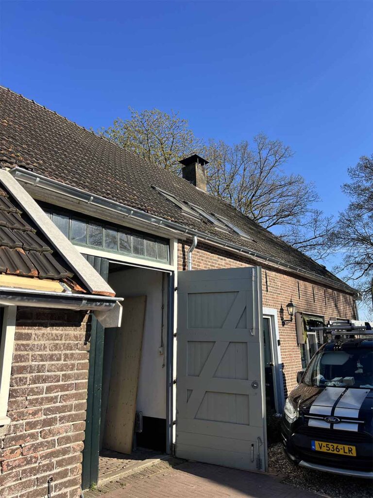 Duste webimage 6